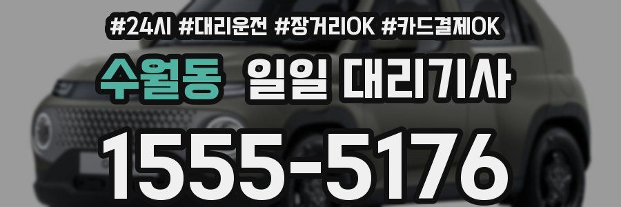 수월동 일일 대리기사