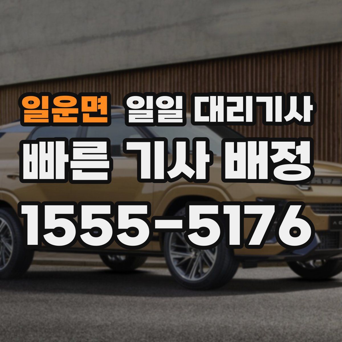 일운면 일일 대리기사
