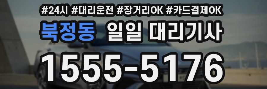 북정동 일일 대리기사