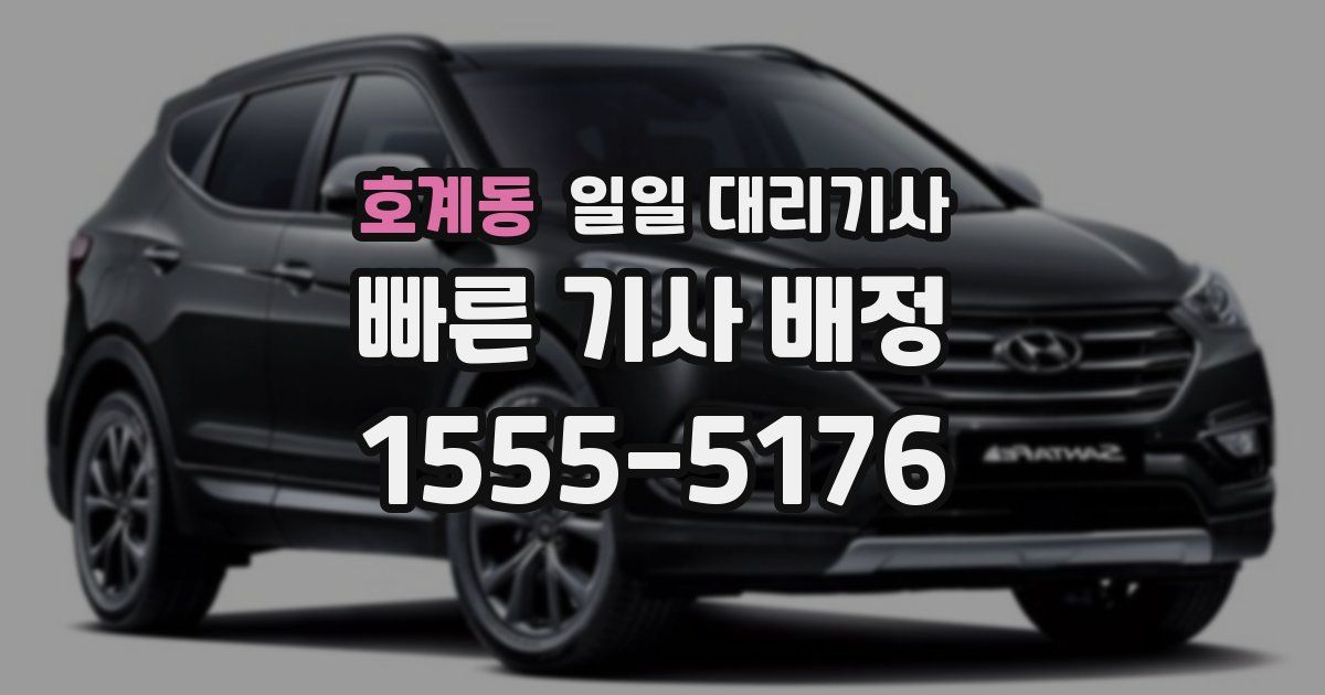 호계동 일일 대리기사