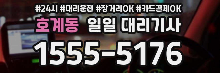 호계동 일일 대리기사