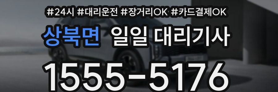 상북면 일일 대리기사