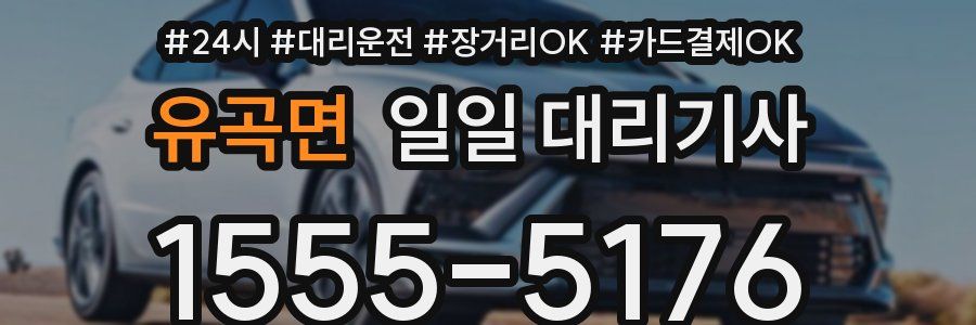 유곡면 일일 대리기사