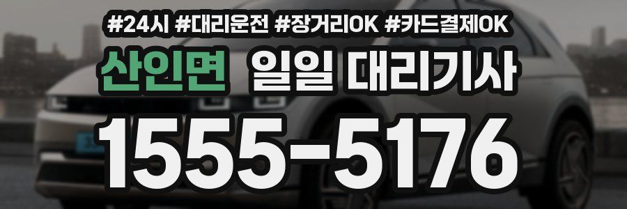 산인면 일일 대리기사