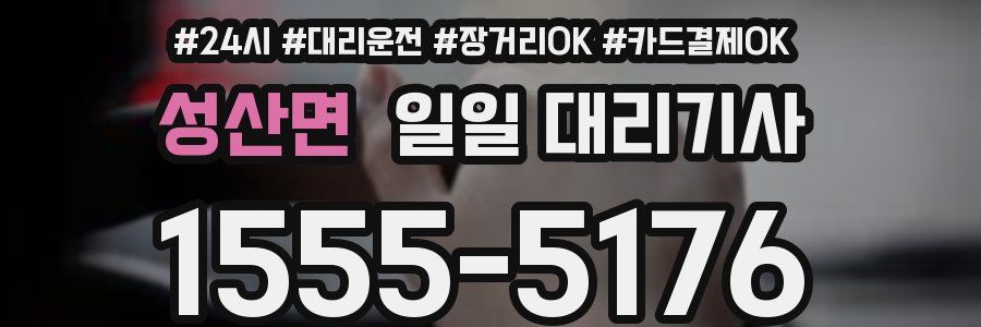 성산면 일일 대리기사