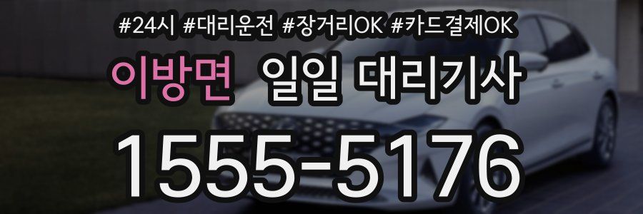 이방면 일일 대리기사