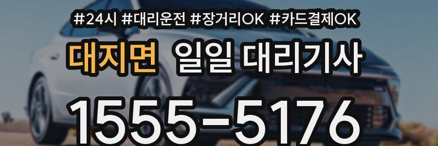 대지면 일일 대리기사