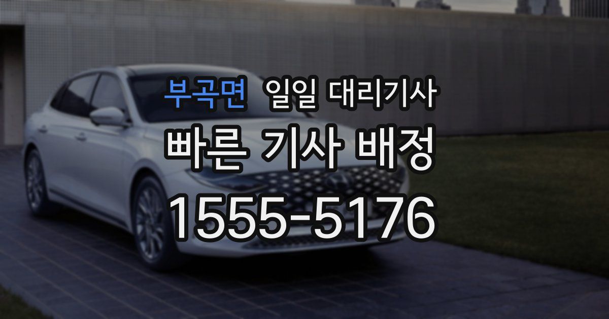 부곡면 일일 대리기사