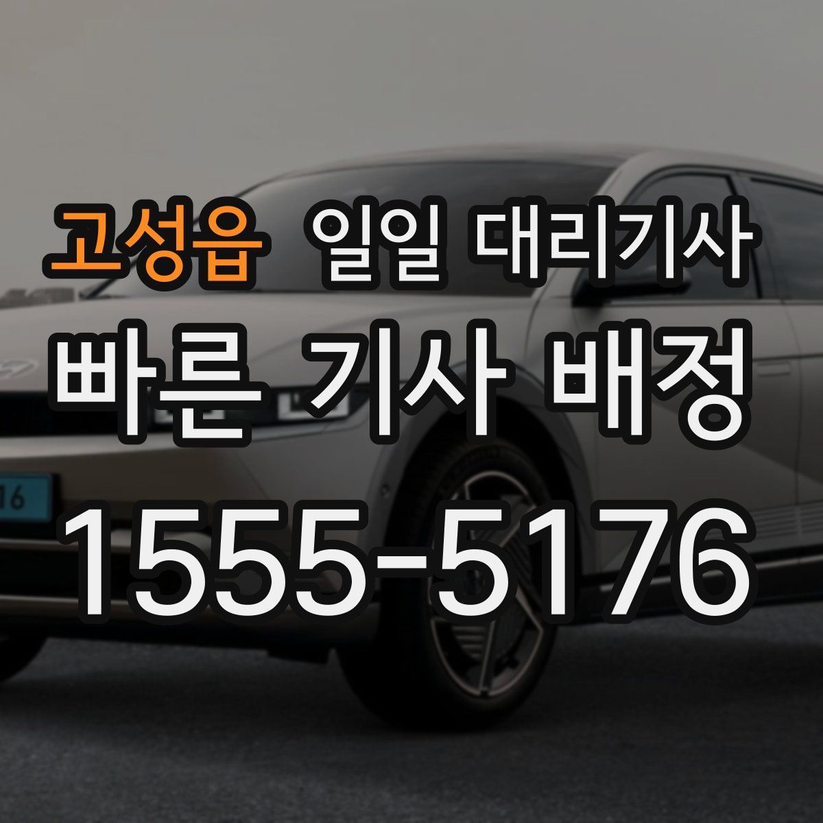 고성읍 일일 대리기사