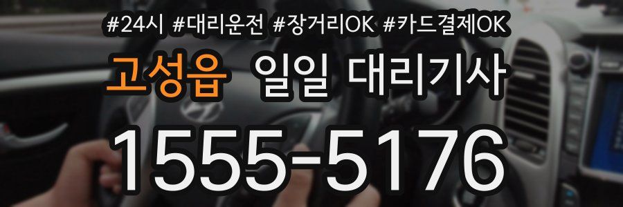 고성읍 일일 대리기사
