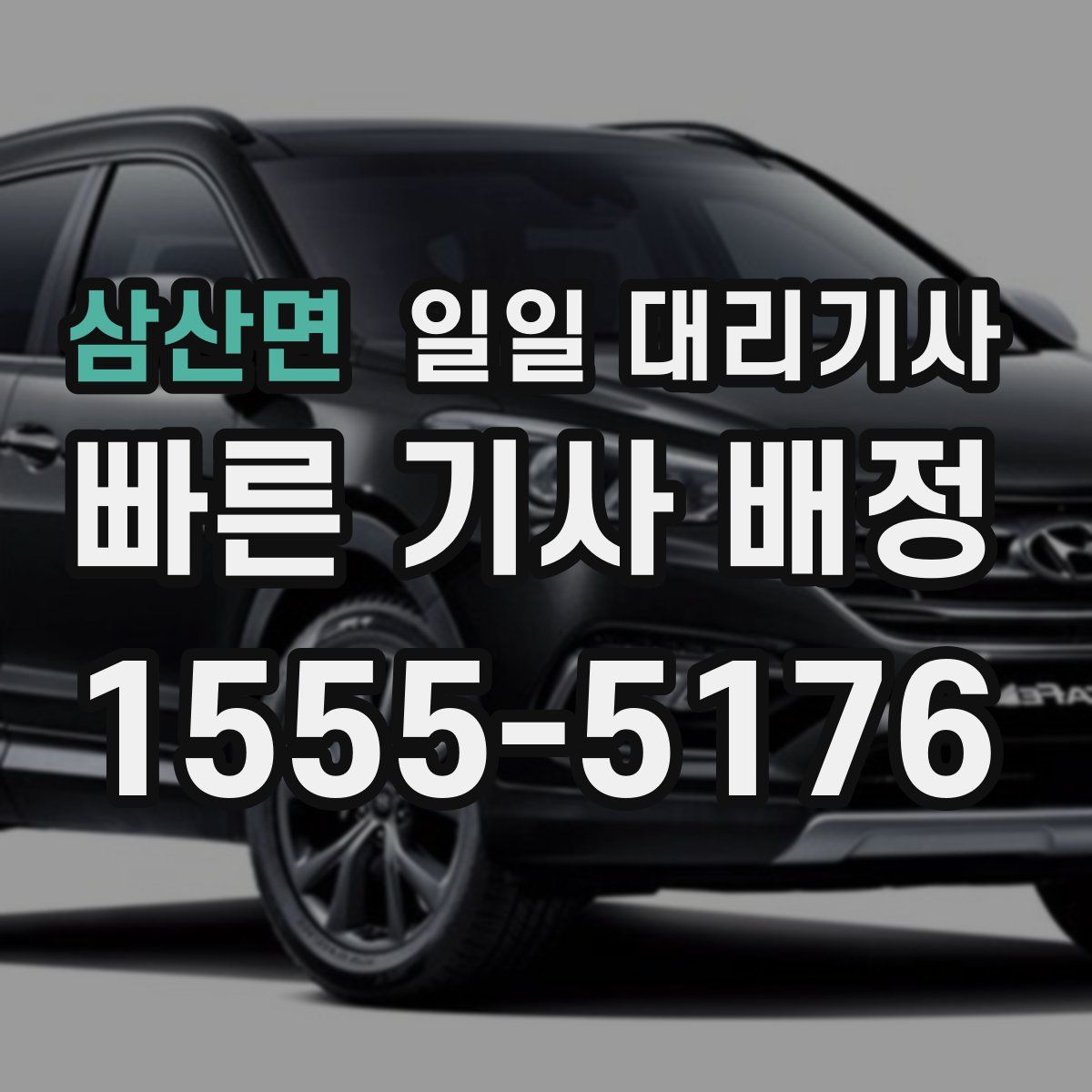 삼산면 일일 대리기사