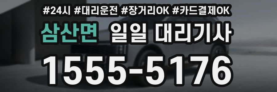 삼산면 일일 대리기사