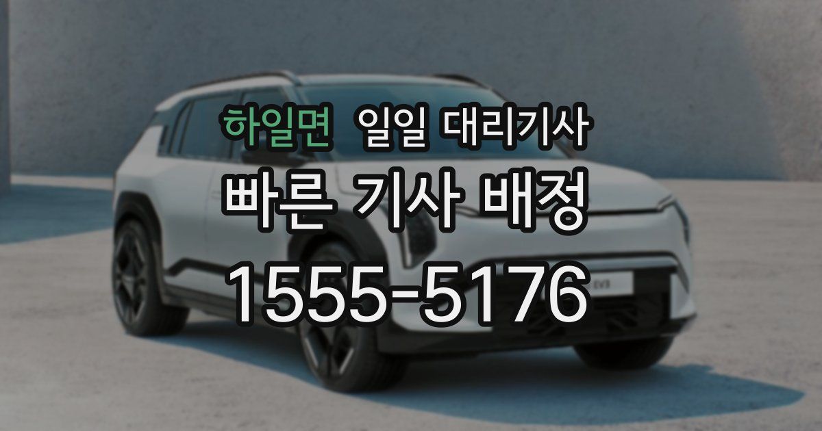 하일면 일일 대리기사