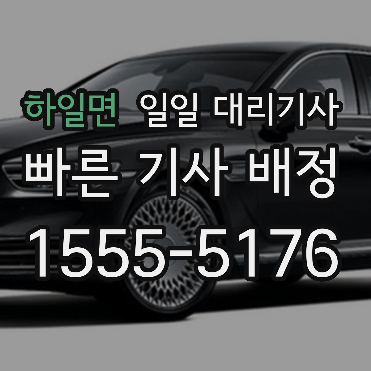 하일면 일일 대리기사