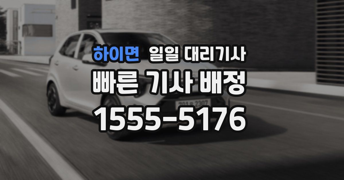 하이면 일일 대리기사