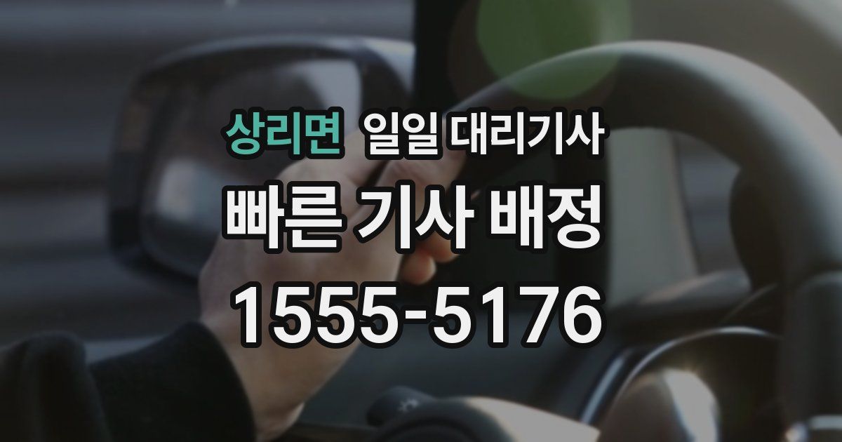 상리면 일일 대리기사