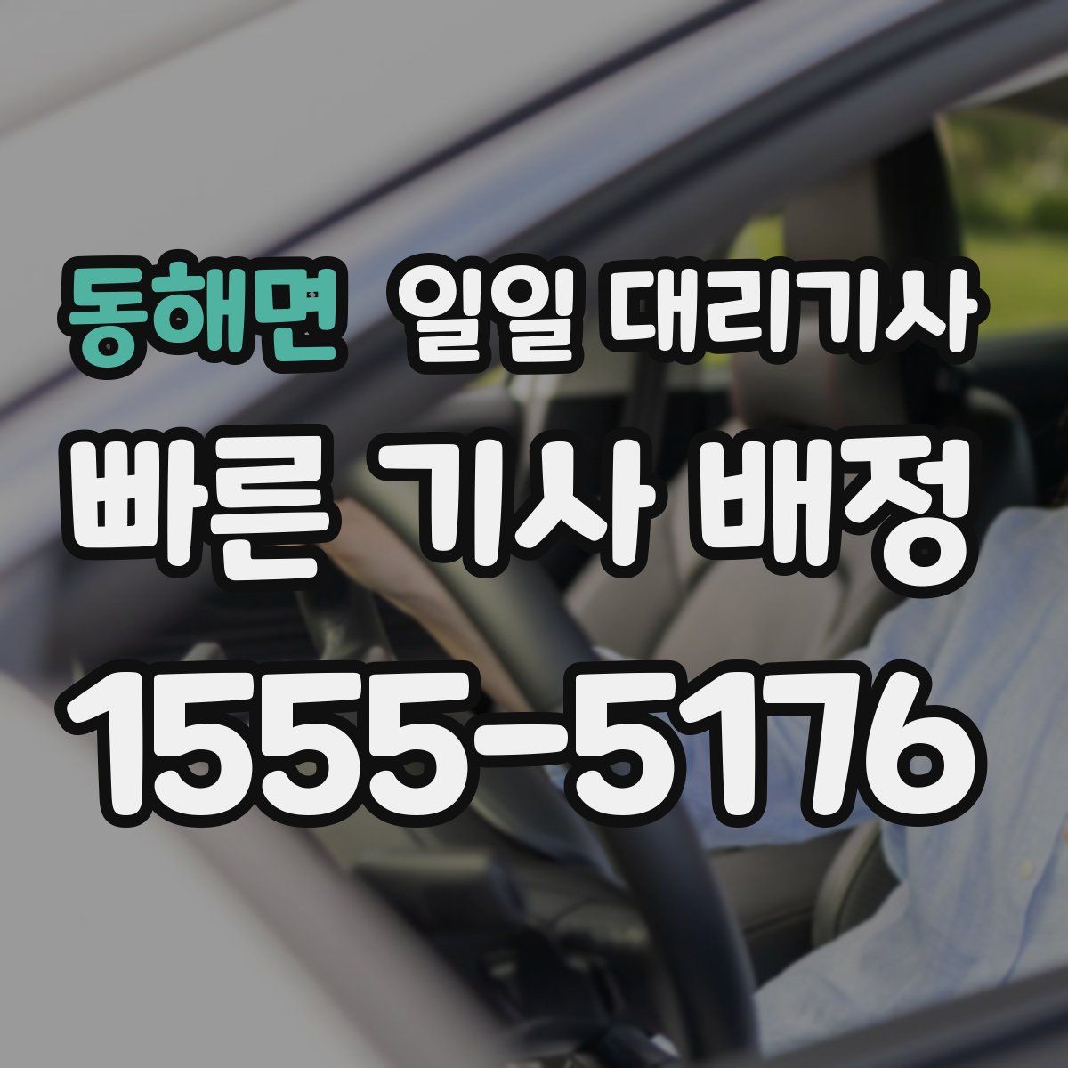 동해면 일일 대리기사