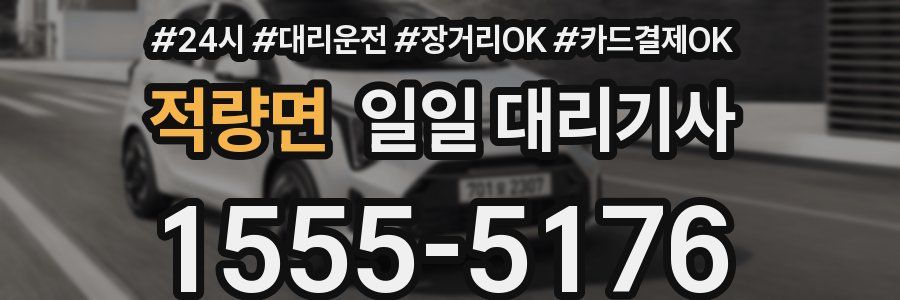 적량면 일일 대리기사