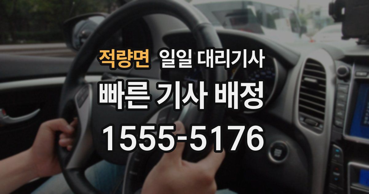 적량면 일일 대리기사