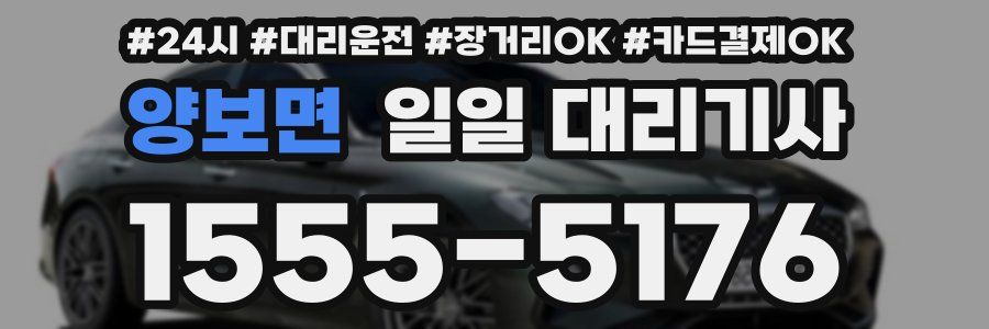 양보면 일일 대리기사