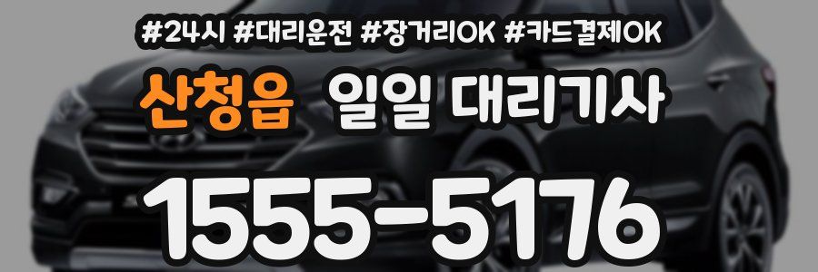 산청읍 일일 대리기사
