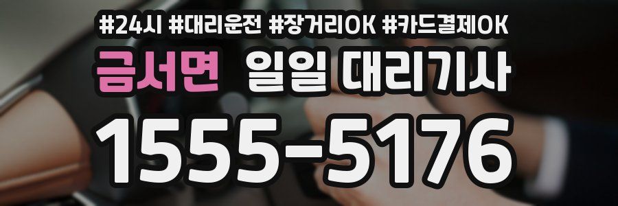 금서면 일일 대리기사