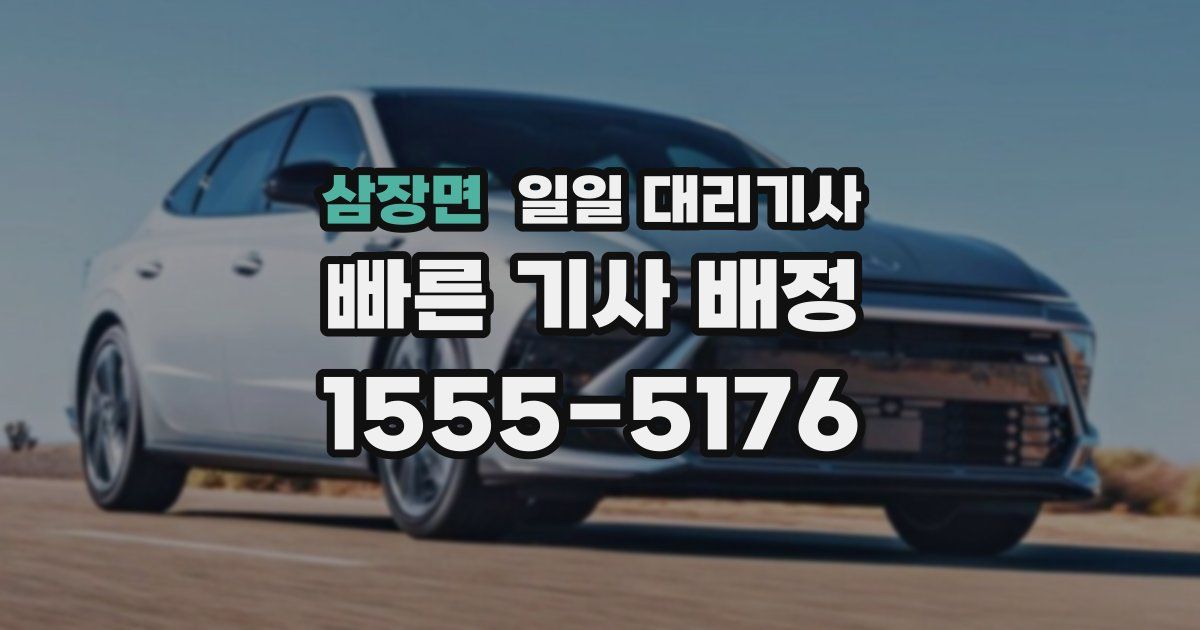 삼장면 일일 대리기사