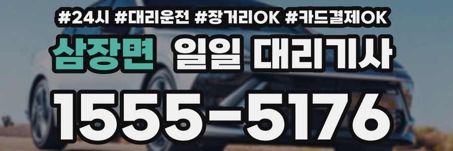 삼장면 일일 대리기사