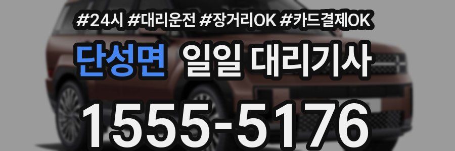 단성면 일일 대리기사