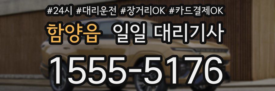 함양읍 일일 대리기사