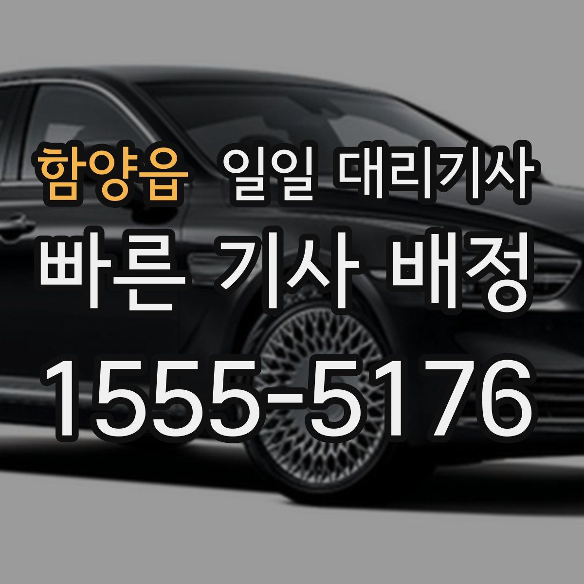 함양읍 일일 대리기사