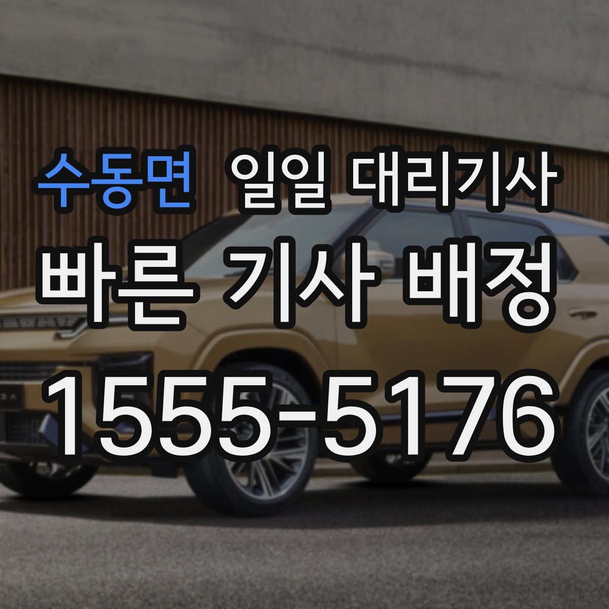 수동면 일일 대리기사