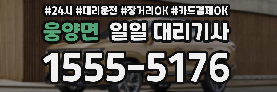 웅양면 일일 대리기사