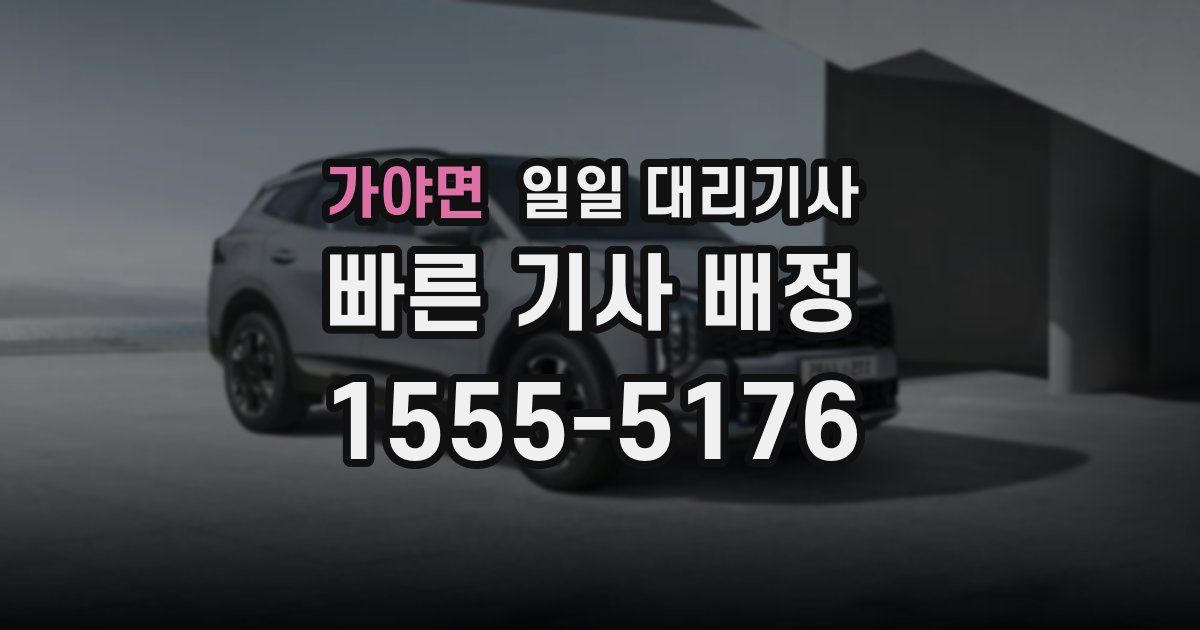 가야면 일일 대리기사