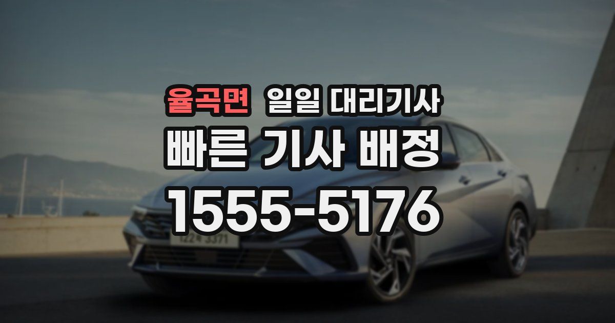 율곡면 일일 대리기사