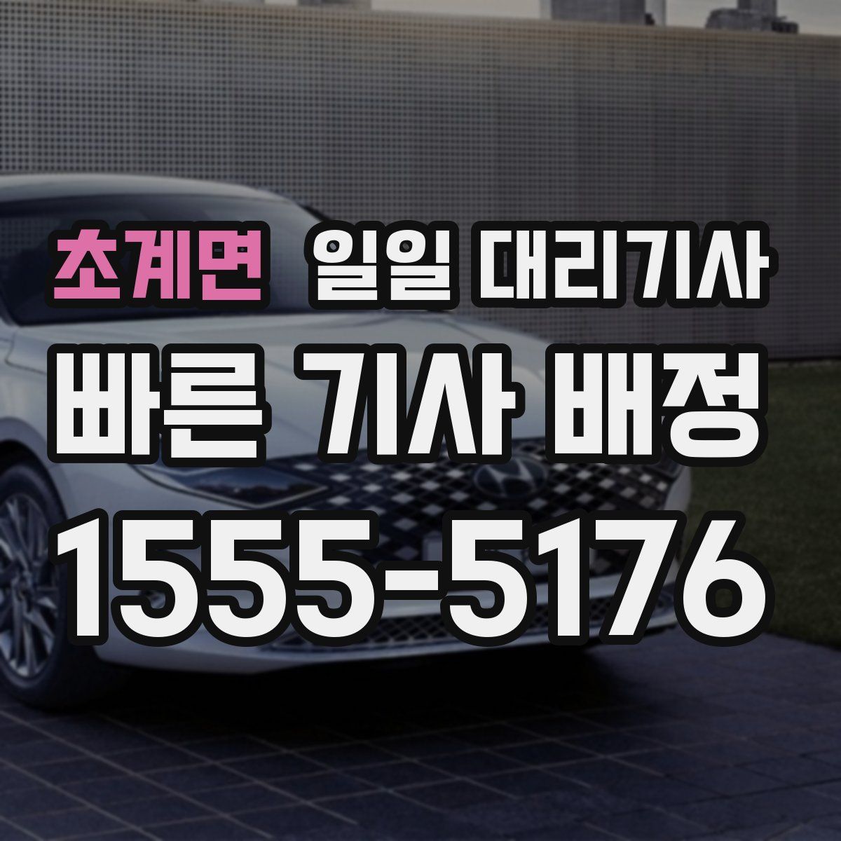 초계면 일일 대리기사