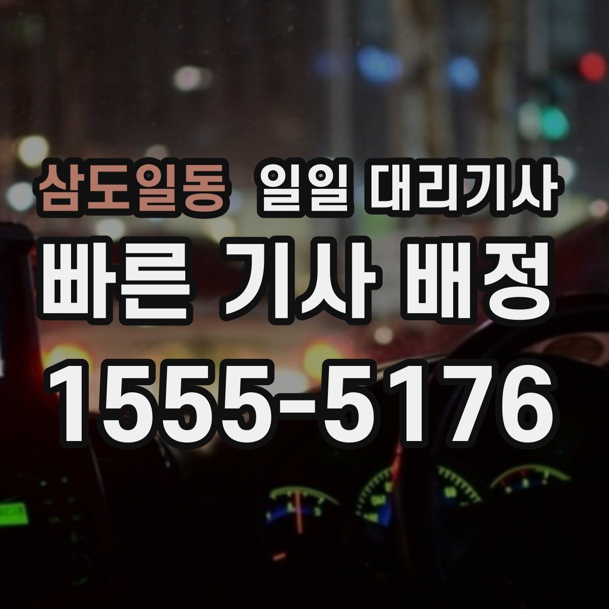 삼도일동 일일 대리기사