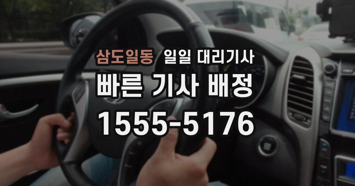 삼도일동 일일 대리기사