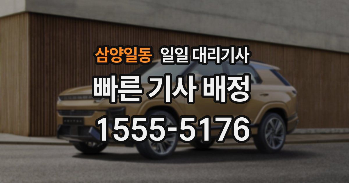 삼양일동 일일 대리기사