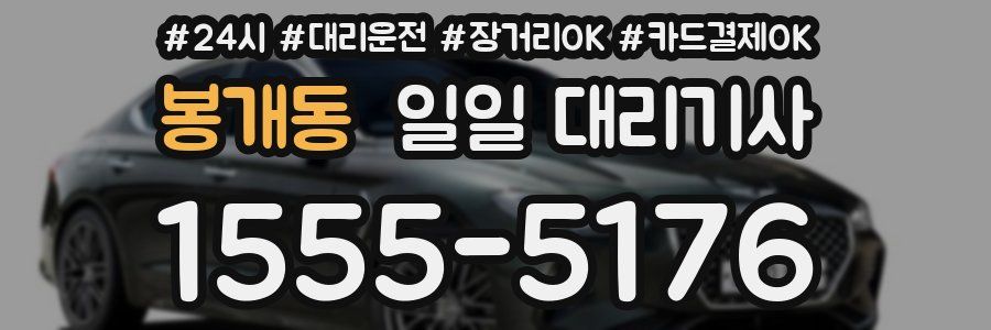 봉개동 일일 대리기사
