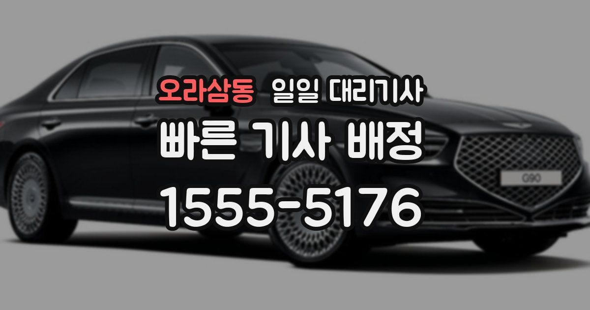 오라삼동 일일 대리기사
