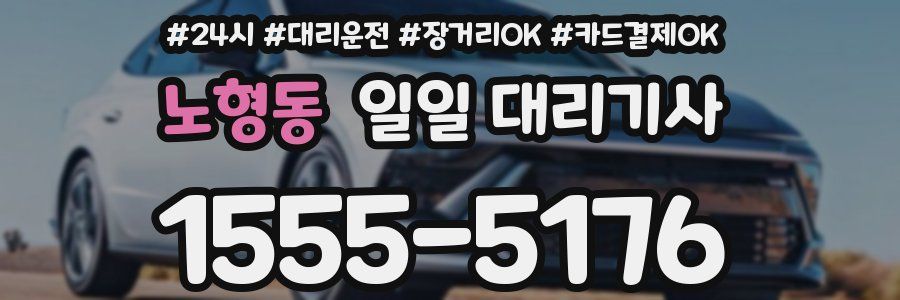 노형동 일일 대리기사