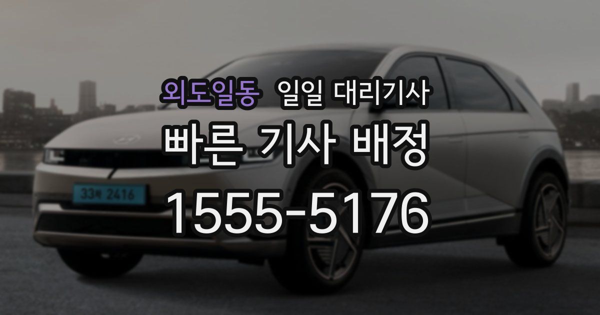 외도일동 일일 대리기사