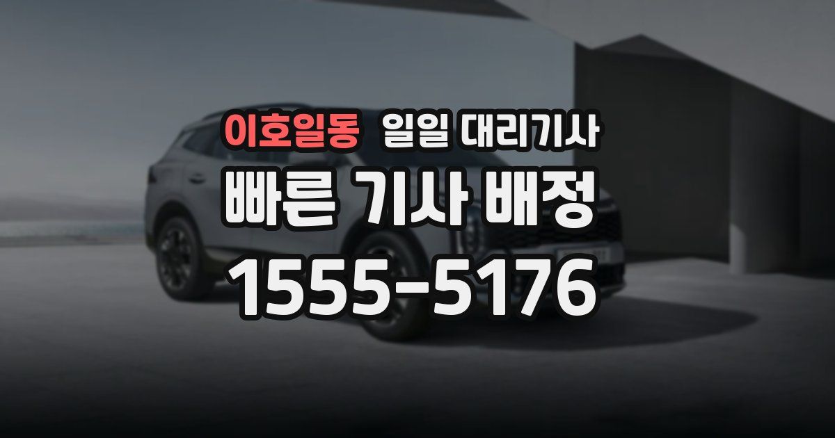 이호일동 일일 대리기사