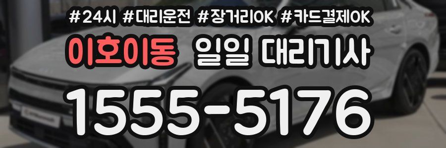 이호이동 일일 대리기사