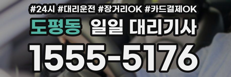 도평동 일일 대리기사