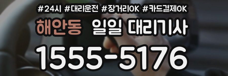 해안동 일일 대리기사