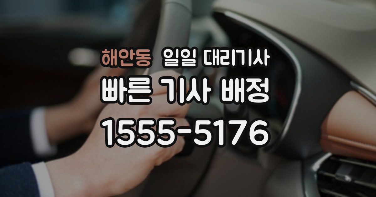 해안동 일일 대리기사
