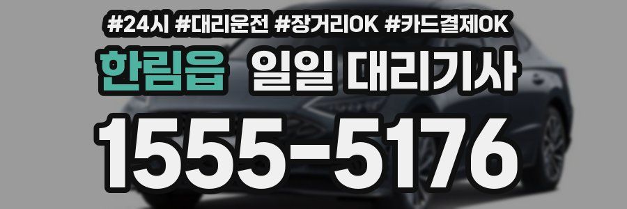 한림읍 일일 대리기사