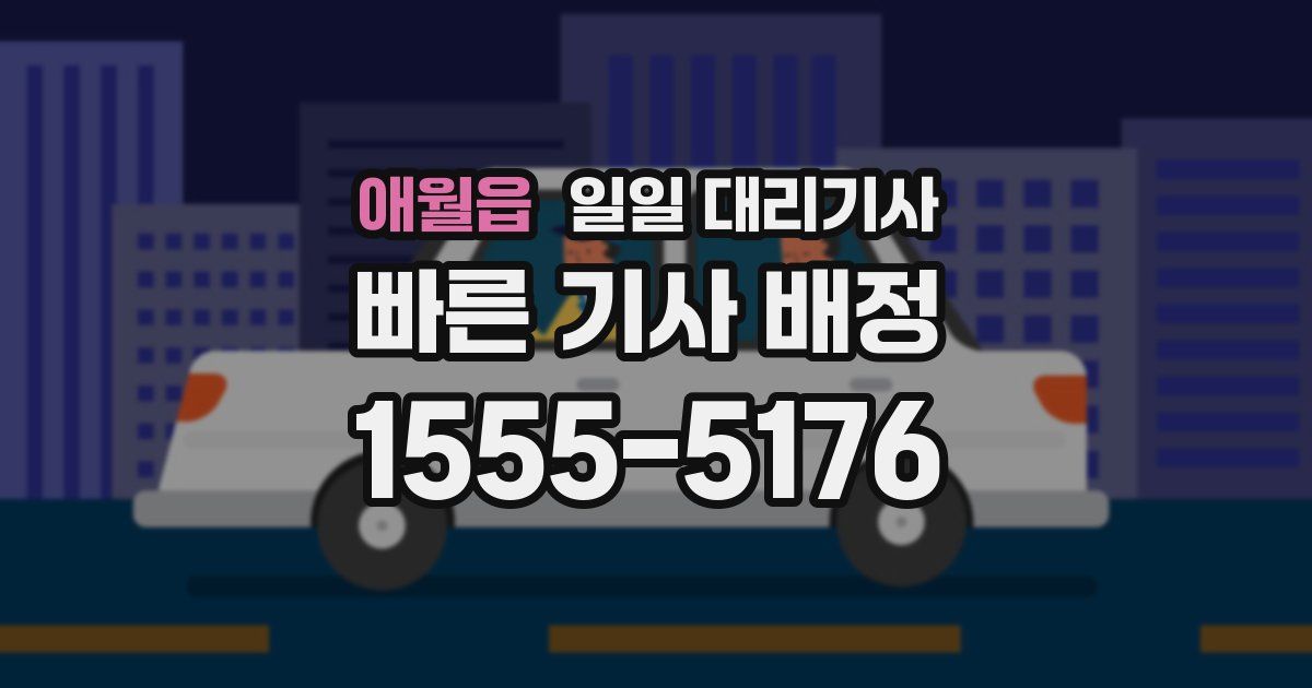 애월읍 일일 대리기사